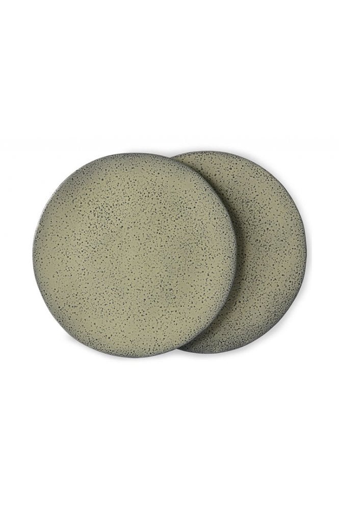 Gradient Dinner Plate ( Set of 2) By Hkliving