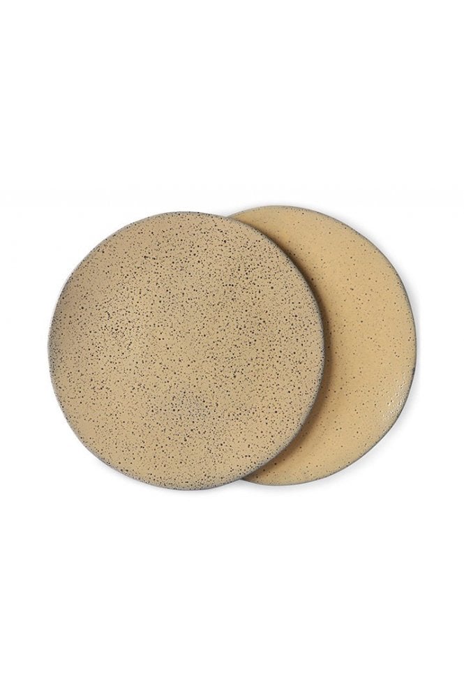 Gradient Dinner Plate ( Set of 2) By Hkliving