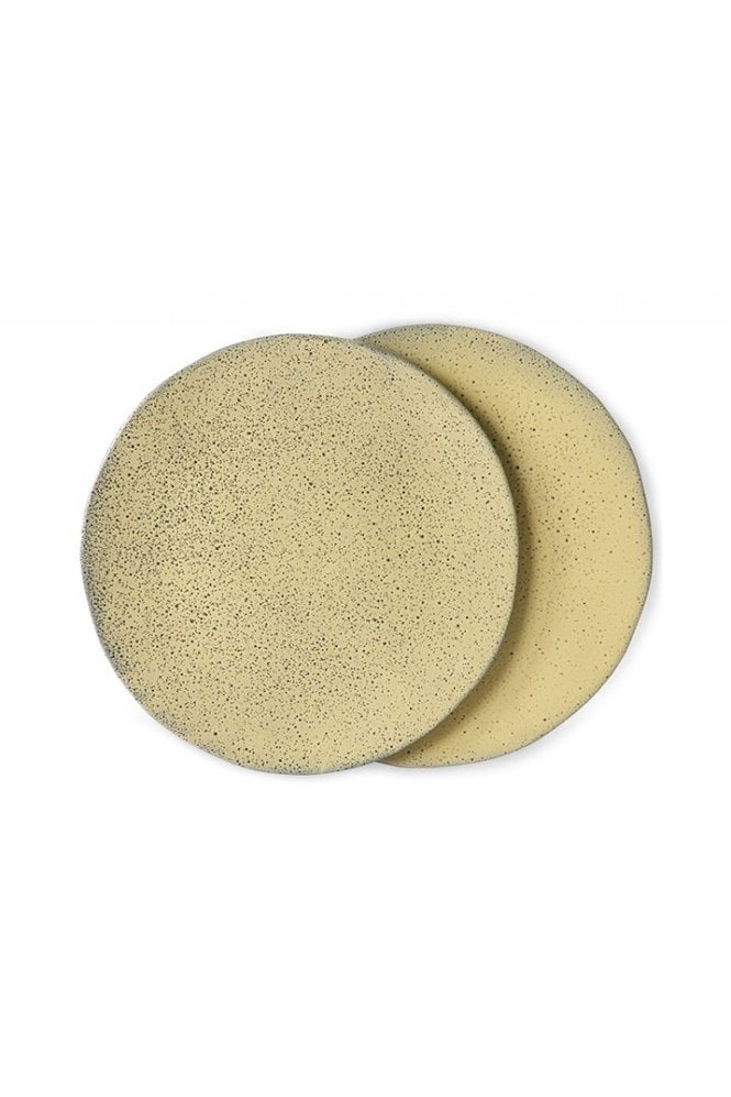 Gradient Dinner Plate ( Set of 2) By Hkliving