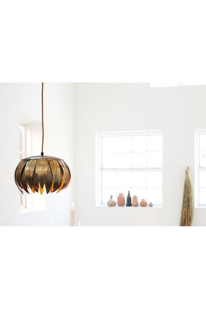 Claw Pendant Light