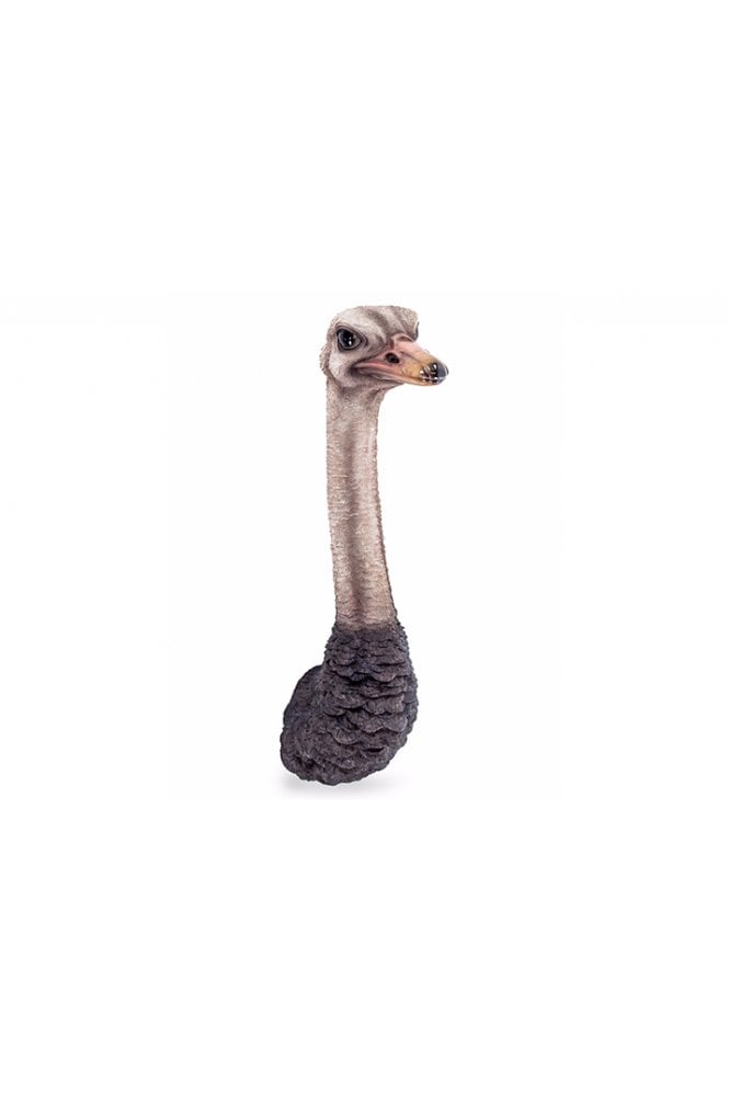 Ostrich Head Wall Figure