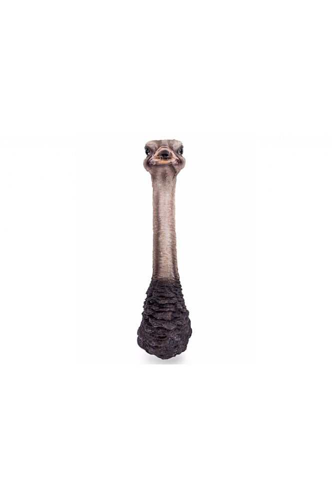 Ostrich Head Wall Figure