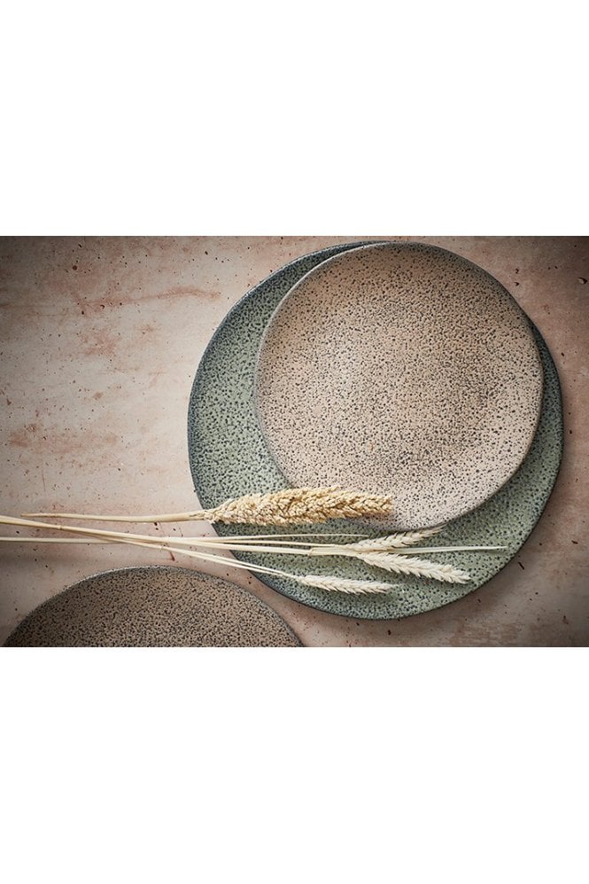 Gradient Dinner Plate ( Set of 2) By Hkliving