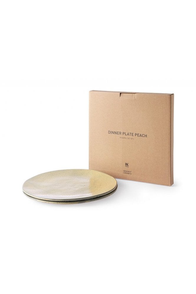 Gradient Dinner Plate ( Set of 2) By Hkliving