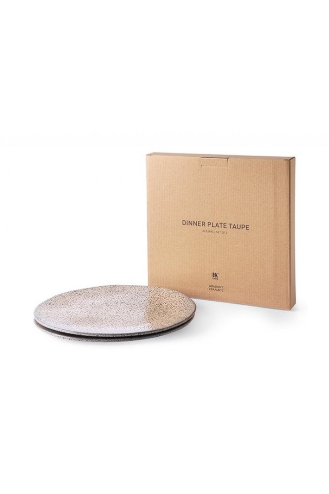 Gradient Dinner Plate ( Set of 2) By Hkliving