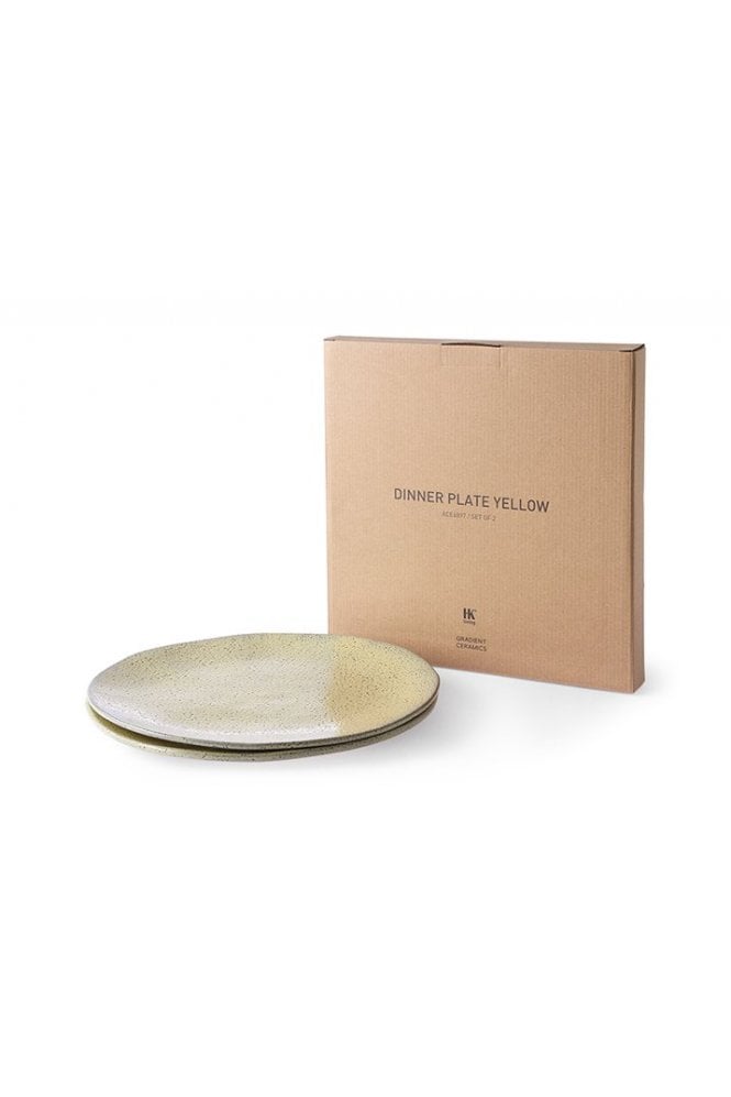 Gradient Dinner Plate ( Set of 2) By Hkliving