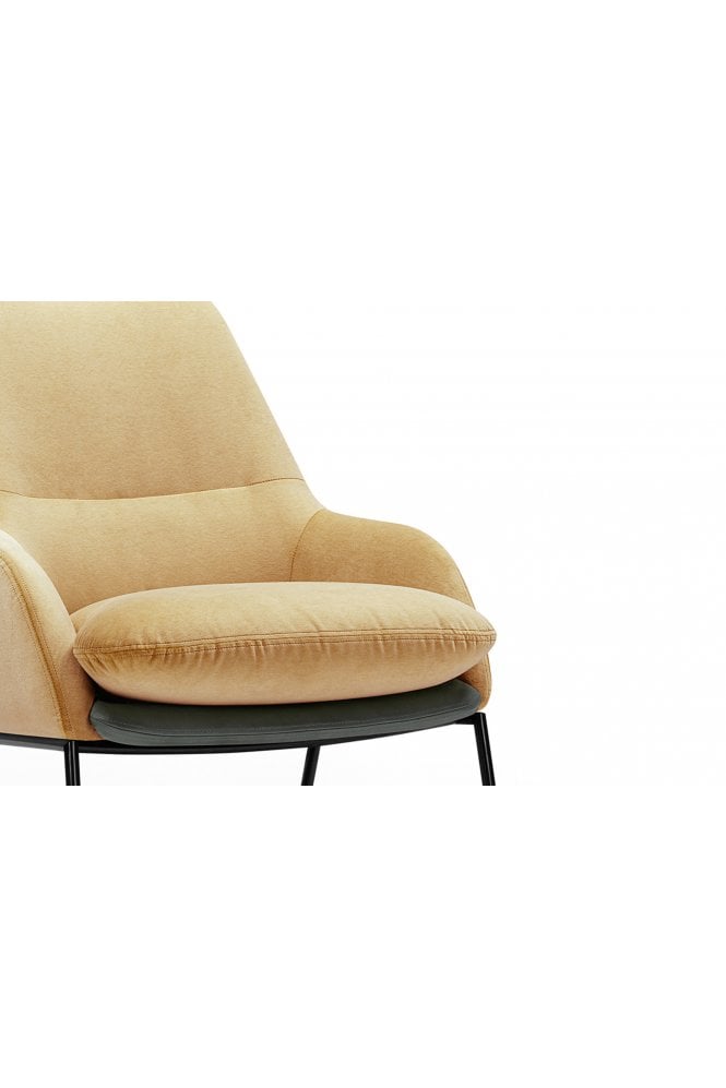 Hol Armchair